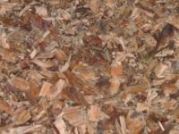 https://www.tradekey.com/product_view/100-Southern-Yellow-Pine-dirty-Chips-41229.html