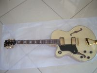 https://es.tradekey.com/product_view/Electric-Jazz-Guitar-230046.html