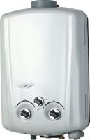 6L Flue Type Gas Water Heater