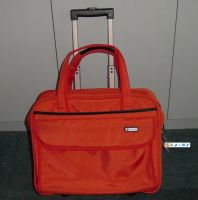 Trolley Bag Cases