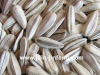 white sunflower seeds (green flower)