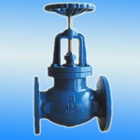 globe valve