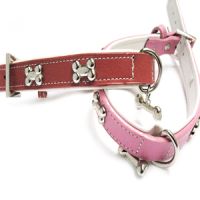 pet collar