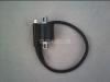 Motorcycle Ignition Coil Assy