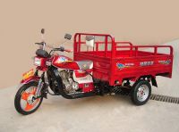 150cc/200cc electric cargo tricycle