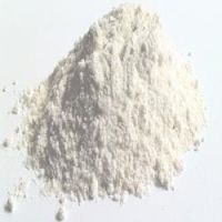 Diatomite Powder