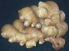 https://fr.tradekey.com/product_view/Chinese-Ginger-569695.html