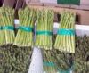 https://www.tradekey.com/product_view/Asparagus-551751.html