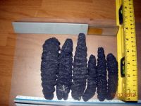 mexicana sea cucumber dried