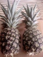 fresh pineapple