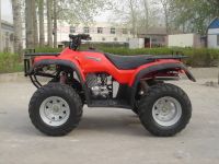 ATV250cc
