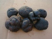 https://fr.tradekey.com/product_view/Black-Truffle-1523796.html