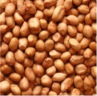 HIGH OLEIC RAW PEANUT