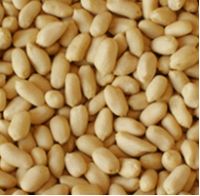 Runner Blanched Peanuts