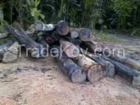 Wamara round logs