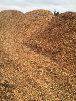 Pine and Eucalyptus wood chips