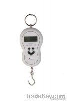 10-40KG PL hanging scales