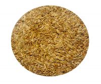 Caraway