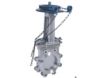 gate valve