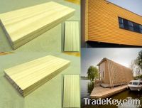 Acetylated Wood for Outdoor Application