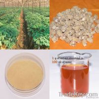 https://www.tradekey.com/product_view/American-Ginseng-Extract-3274173.html