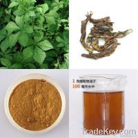 Siberian Ginseng Extract