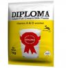 DIPLOMA