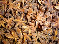 star aniseed