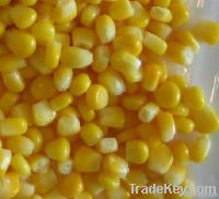 Canned Sweet Corn