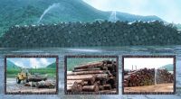 THE LOGS ARE FROM ABHAZIA