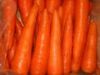 Beta-Carotene Beadlet 10% TAB-GFB