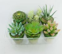 Mini Potted Plants, artificial plants, trees, flowers, vines