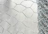 Hexagonal mesh
