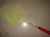 Mini Badminton Ra...