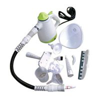 portable steam cleaner