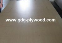 UV Prefinished Plywood