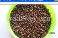 Agglomerated Flux, Submerged Arc Welding Flux