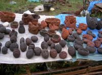 pumice stone