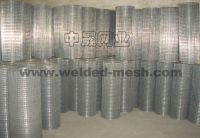 galvanized wire mesh&netting