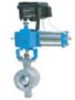 V Type Ball Valve