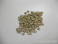 Export Arabica Coffee Beans | Arabica Coffee Bean Importer | Arabica Coffee Beans Buyer | Buy Arabica Coffee Beans | Arabica Coffee Bean Wholesaler | Arabica Coffee Bean Manufacturer | Best Arabica Coffee Bean Exporter | Low Price Arabica Coffee Beans | B