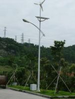 Solar & Wind Power Combined Street Lighting