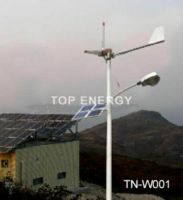 Wind solar light