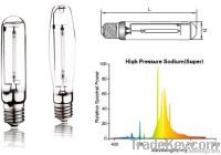 High pressure sodium lamp