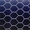 HEXAGONAL WIRE NETTING