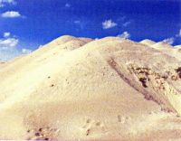Sand, Natural Sand Aragonite (CaCo3)