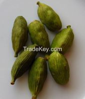 Green Cardamom 