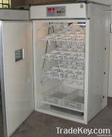 Automatic Ostrich incubator/hatcher/setter/brooder