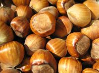 Inshell Hazelnuts