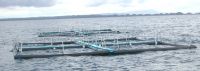 HDPE Econo Cage